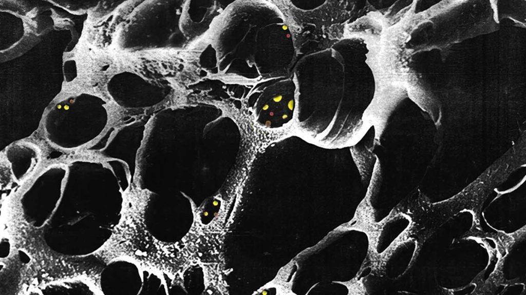نقش کربن فعال در تصفیه آب: راهنمای کامل کاربرد و انتخاب 2 نقش کربن فعال در تصفیه آب راهنمای کامل کاربرد و انتخاب