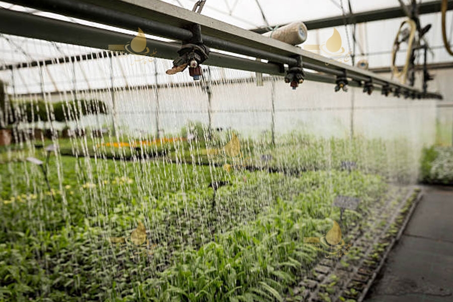 چرا گلخانه به آب شیرین کن نیاز دارد؟ 