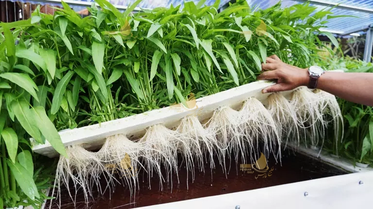 نحوه عملکرد آب شیرین کن گلخانه 